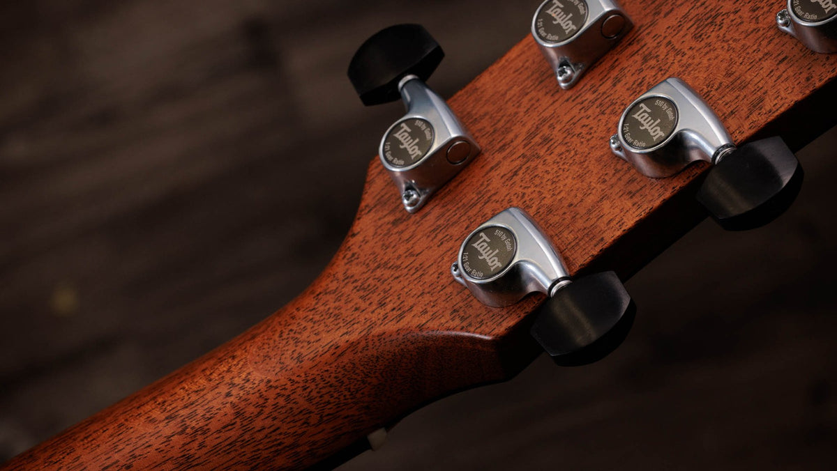 Đàn guitar acoustic điện Taylor Gold Label 810e – mặt sau đầu đàn và bộ khóa lên dây