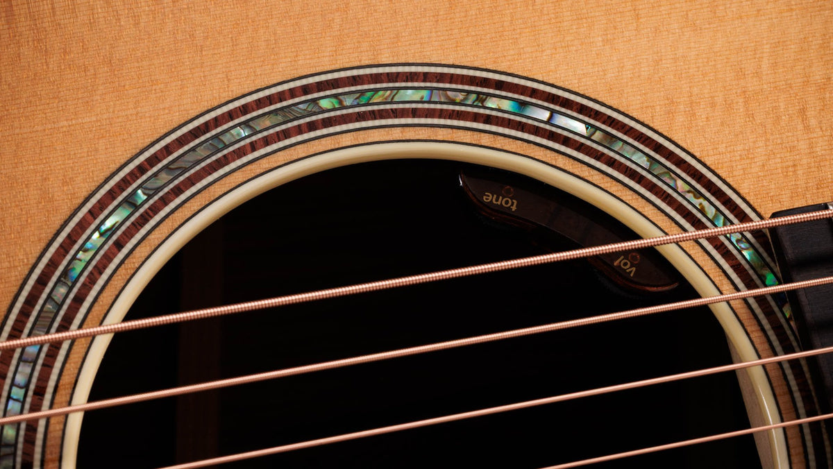 Đàn guitar acoustic điện Taylor Gold Label 817e mặt Natural – cận hoa văn viền lỗ thoát âm (rosette)