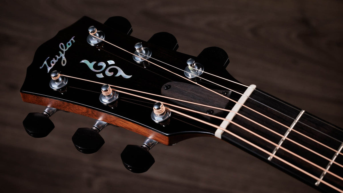 Đàn guitar acoustic điện Taylor Gold Label 817e mặt Sunburst – cận đầu đàn và logo Taylor