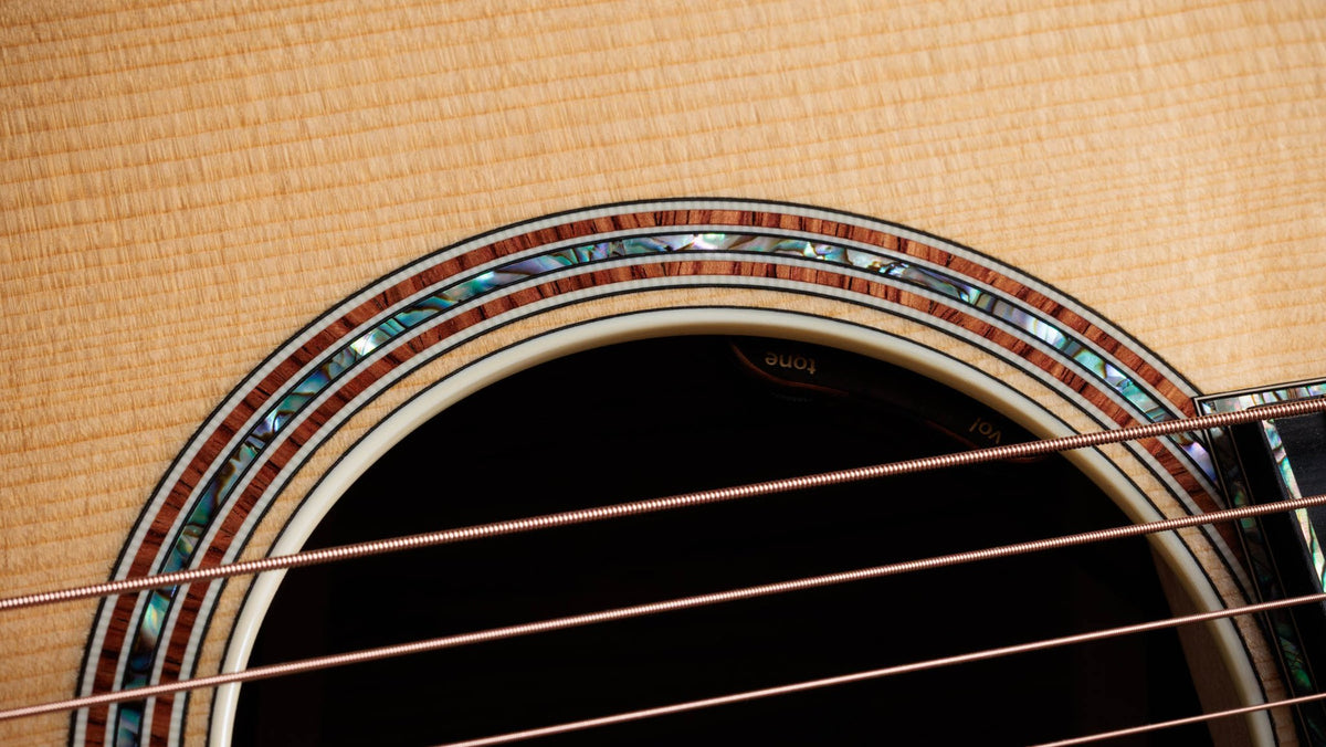 Đàn guitar acoustic điện Taylor Gold Label 914e mặt Natural – cận hoa văn viền lỗ thoát âm (rosette)