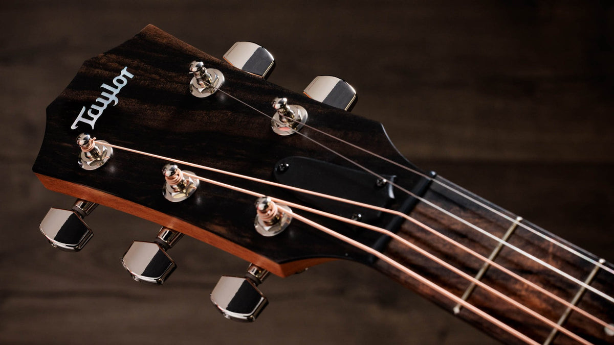 Đàn guitar acoustic điện Taylor Jacob Collier Academy 22e 5-String màu Natural – cận đầu đàn và logo Taylor
