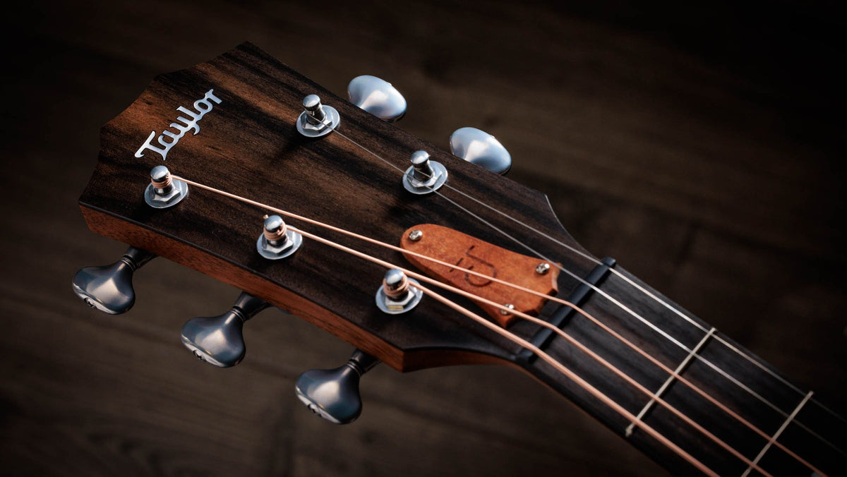 Đàn guitar acoustic điện Taylor Jacob Collier Signature Model 5-String màu Natural – cận đầu đàn và logo Taylor