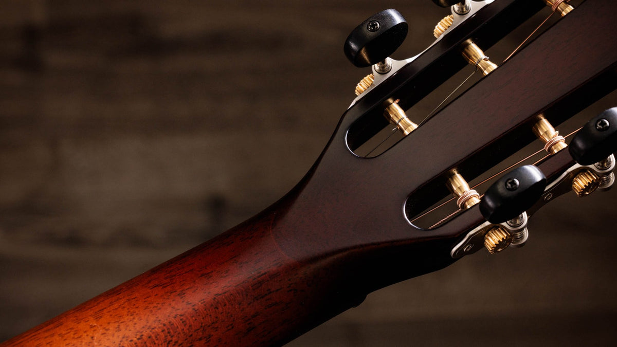 Đàn guitar acoustic điện Taylor K22ce 12-Fret Special Edition – mặt sau đầu đàn và bộ khóa lên dây