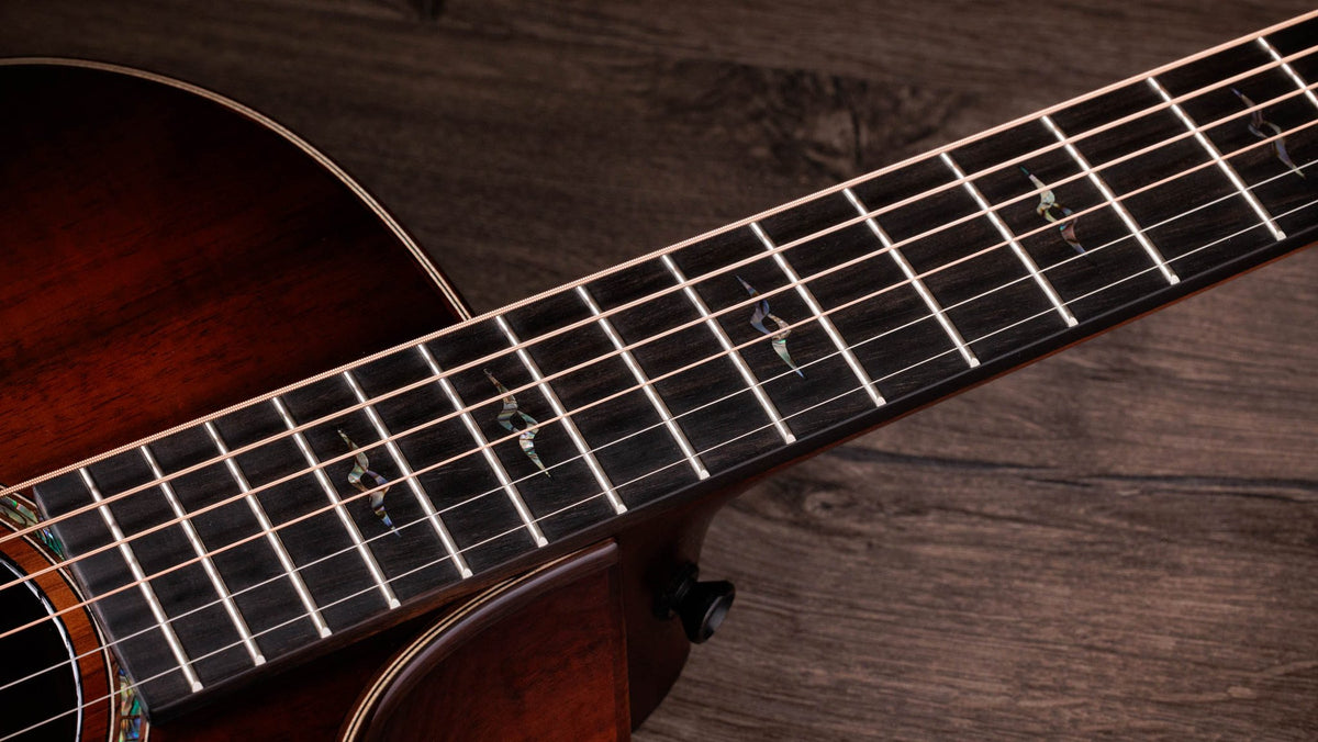 Đàn guitar acoustic điện Taylor K24ce Special Edition – cận cần đàn và mặt phím (góc 2)