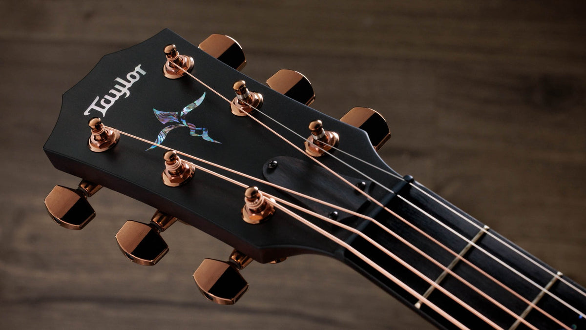 Đàn guitar acoustic điện Taylor K24ce Special Edition – cận đầu đàn và logo Taylor