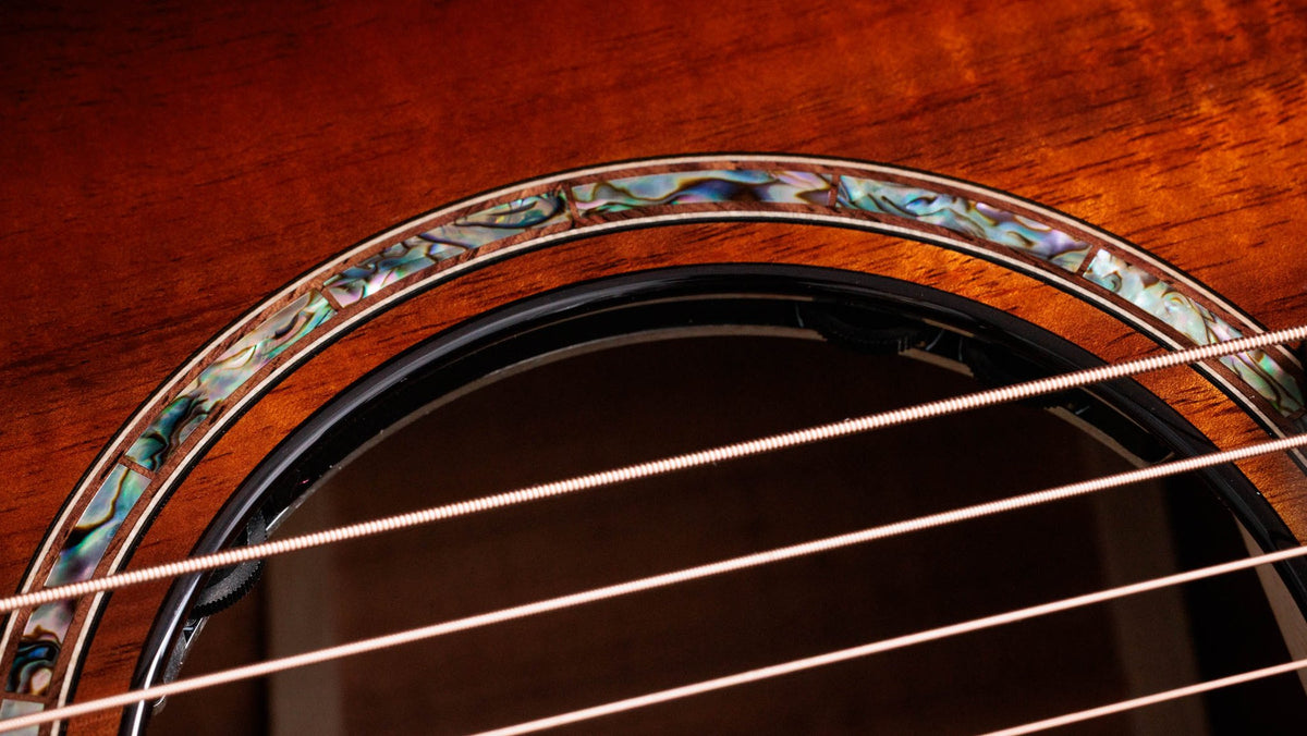 Đàn guitar acoustic điện Taylor K24ce Special Edition – cận hoa văn viền lỗ thoát âm (rosette)