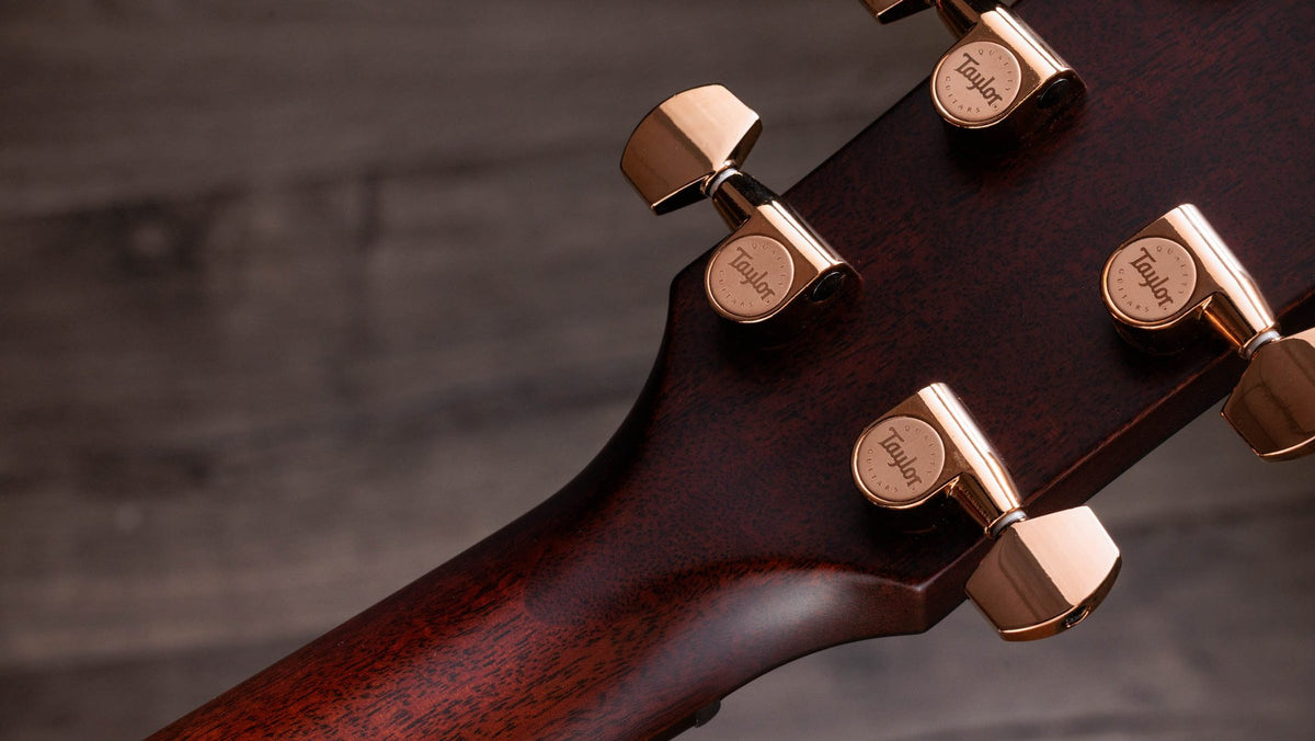 Đàn guitar acoustic điện Taylor K24ce Special Edition – mặt sau đầu đàn và bộ khóa lên dây