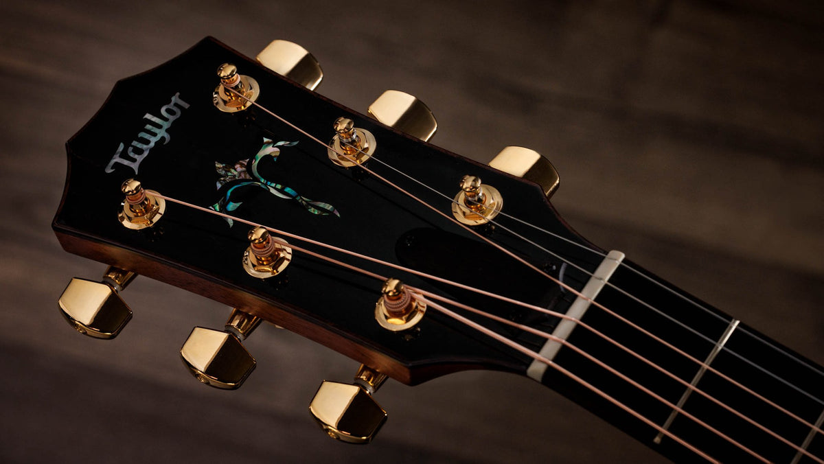 Đàn guitar acoustic điện Taylor Legacy 914ce – cận đầu đàn và logo Taylor