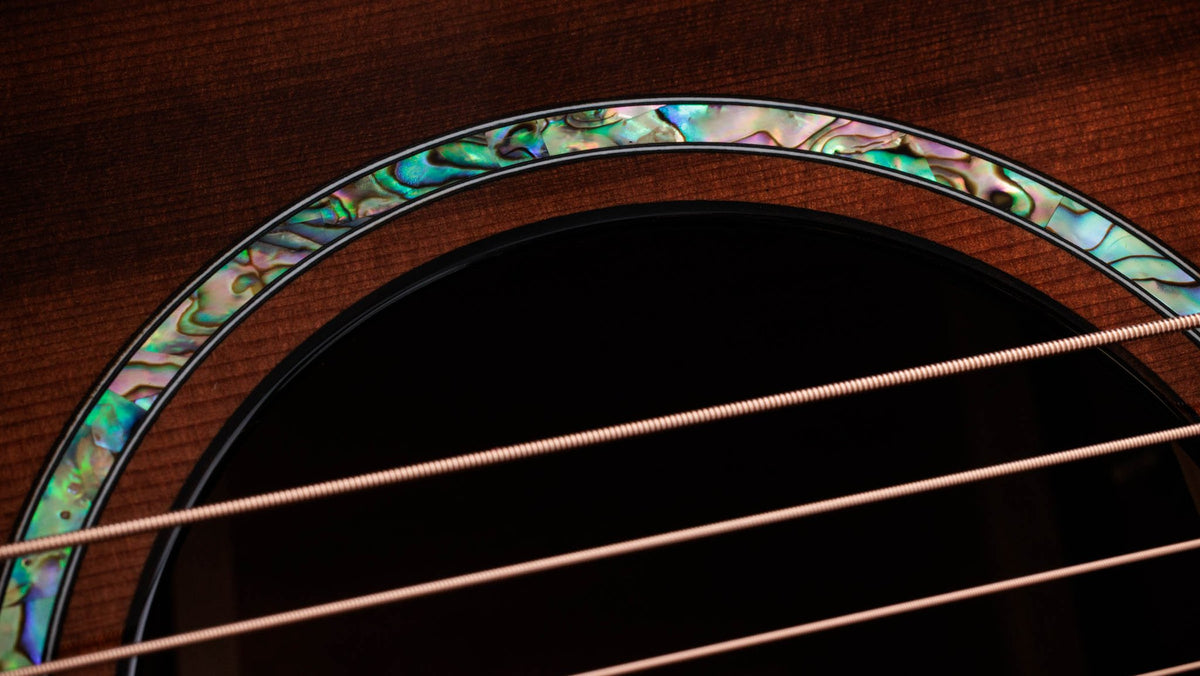 Đàn guitar acoustic điện Taylor PS14ce Ironbark/Sinker Redwood – cận hoa văn viền lỗ thoát âm (rosette)