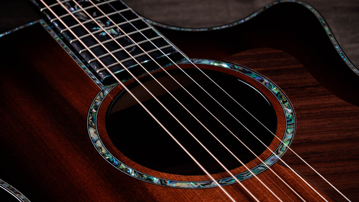 Đàn guitar acoustic điện Taylor PS14ce Ironbark/Sinker Redwood – cận lỗ thoát âm và ngựa đàn