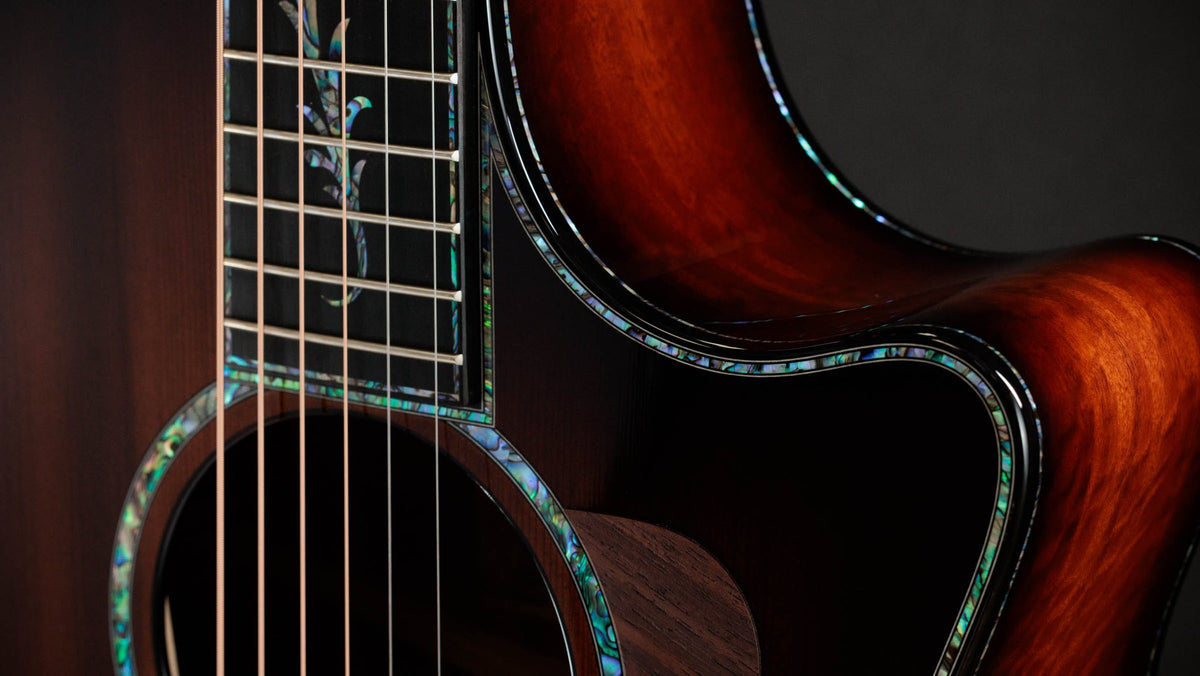 Đàn guitar acoustic điện Taylor PS14ce Ironbark/Sinker Redwood – cận thùng đàn mặt trước