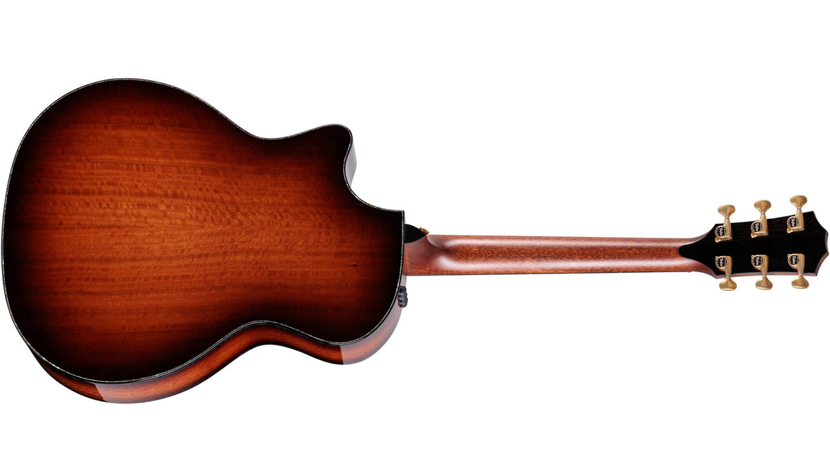 Đàn guitar acoustic điện Taylor PS14ce Ironbark/Sinker Redwood – mặt lưng toàn thân