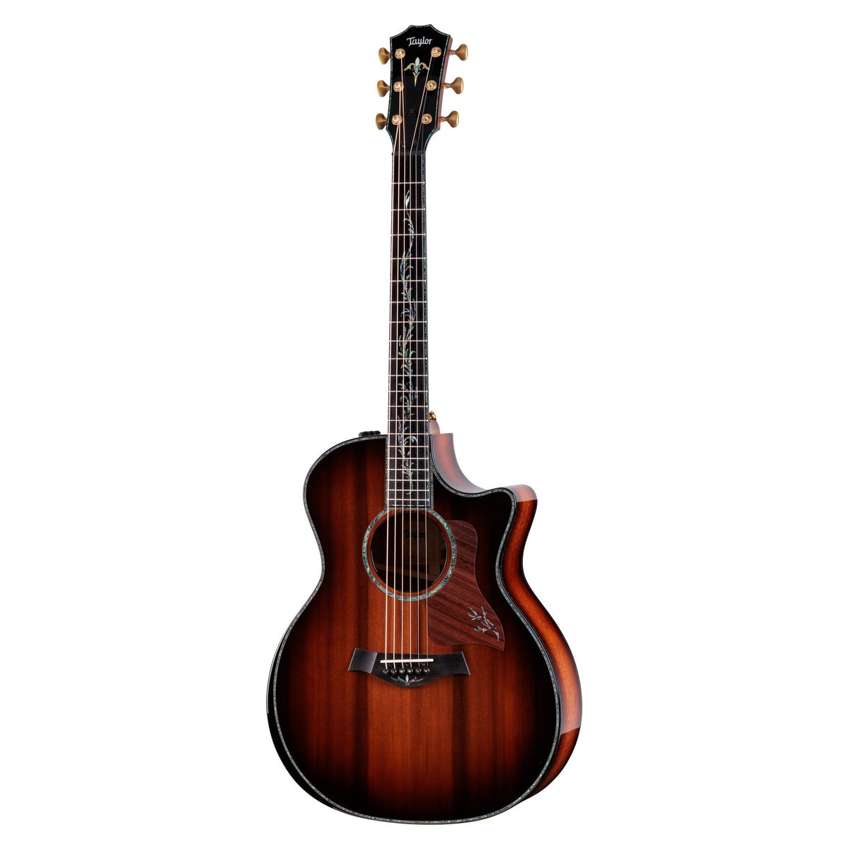 Đàn guitar acoustic điện Taylor PS14ce Ironbark/Sinker Redwood – mặt trước toàn thân