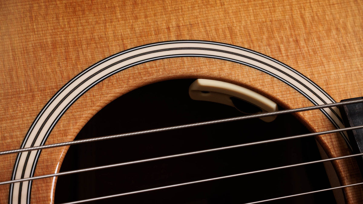 Đàn guitar acoustic điện Taylor Trey Hensley Gold Label 510e màu Antique Blond – cận hoa văn viền lỗ thoát âm (rosette)