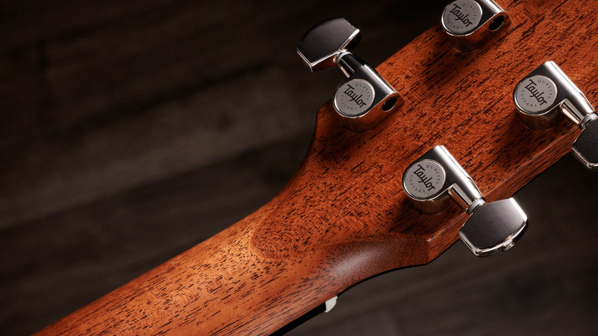 Đàn guitar acoustic điện Taylor Trey Hensley Gold Label 510e màu Antique Blond – mặt sau đầu đàn và bộ khóa lên dây