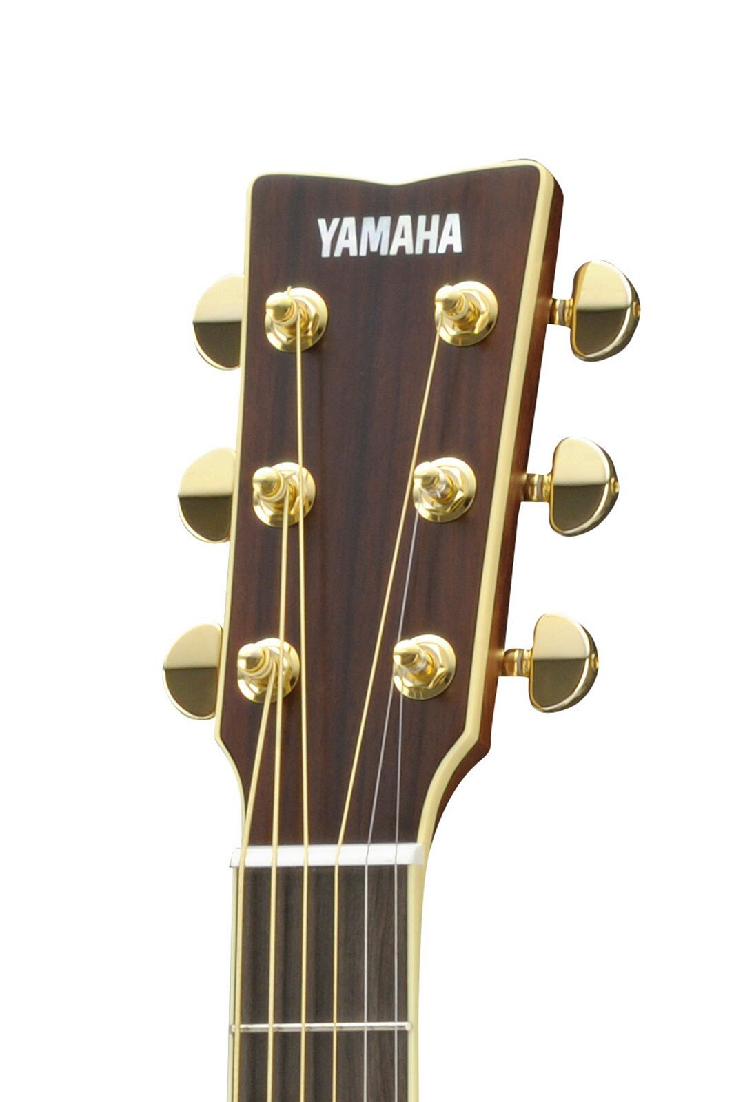 Đàn guitar acoustic điện Yamaha LS16M ARE màu Natural – cận đầu đàn và logo Yamaha