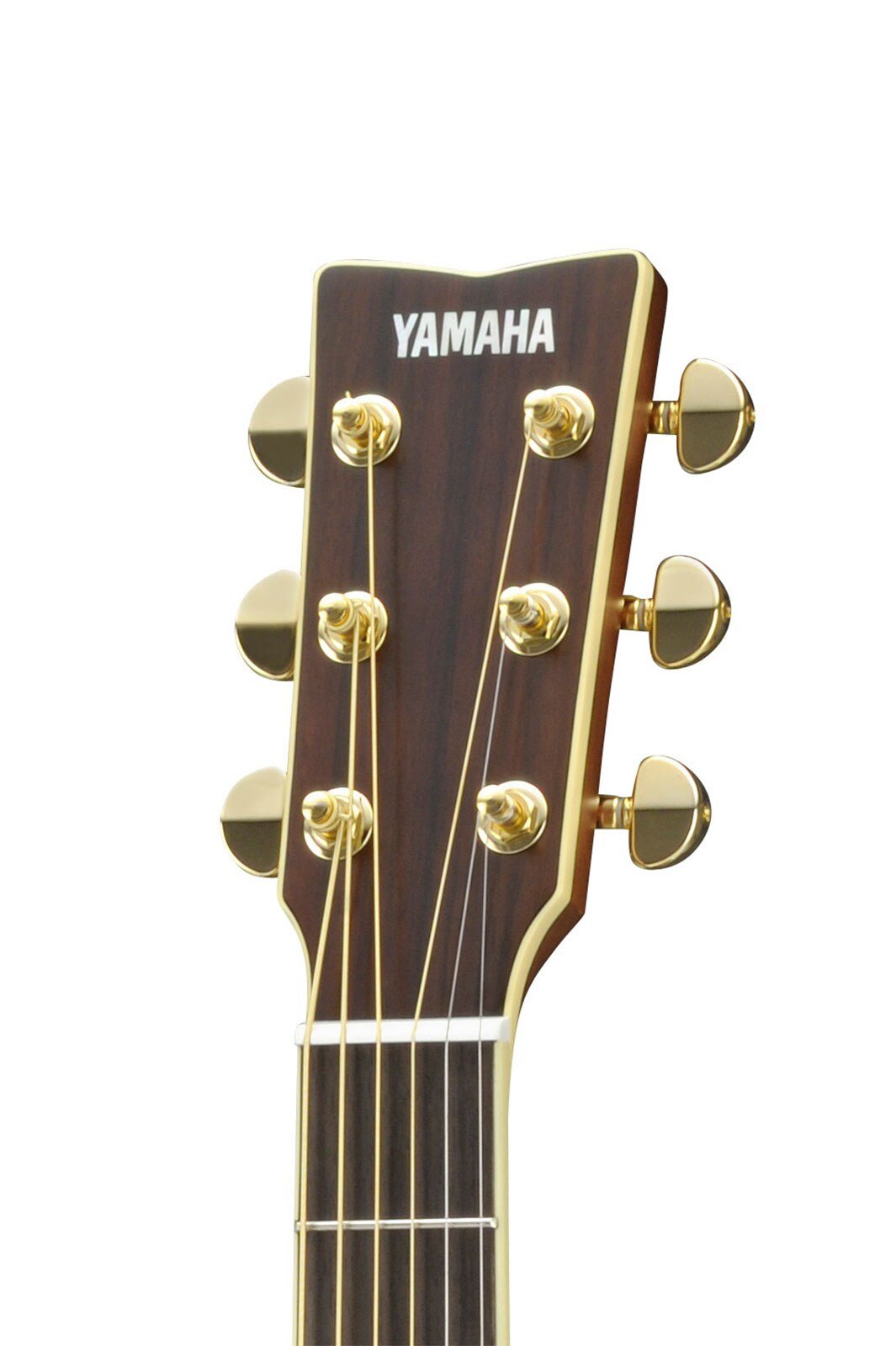 Đàn guitar acoustic điện Yamaha LS6M ARE màu Natural – cận đầu đàn và logo Yamaha