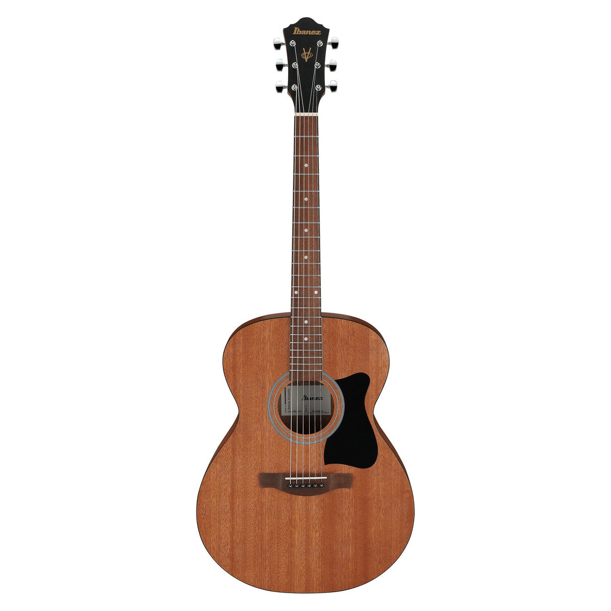 Đàn guitar acoustic Ibanez VC44 màu Open Pore Natural – ảnh chính hãng toàn thân