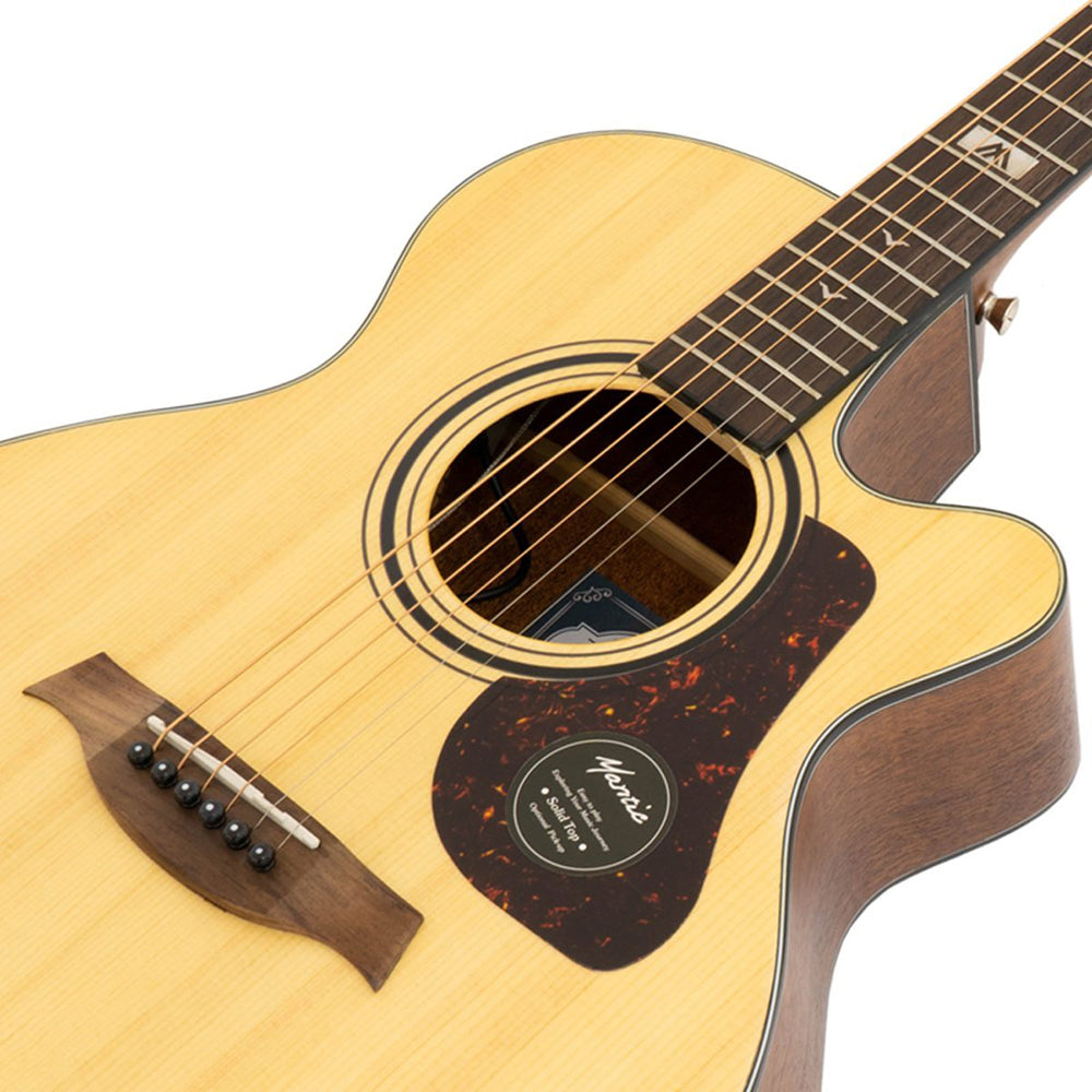 Đàn Guitar Acoustic Mantic GT10ACE