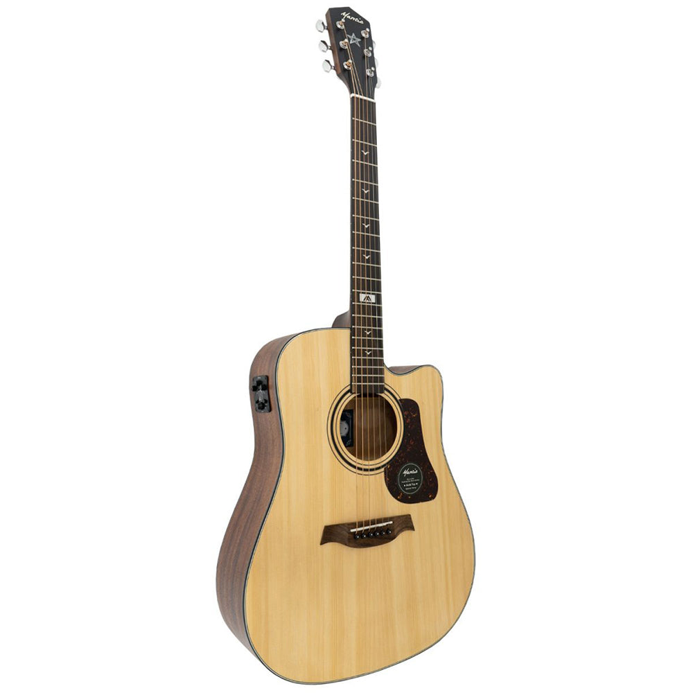 Đàn Guitar Acoustic Mantic GT10DCE