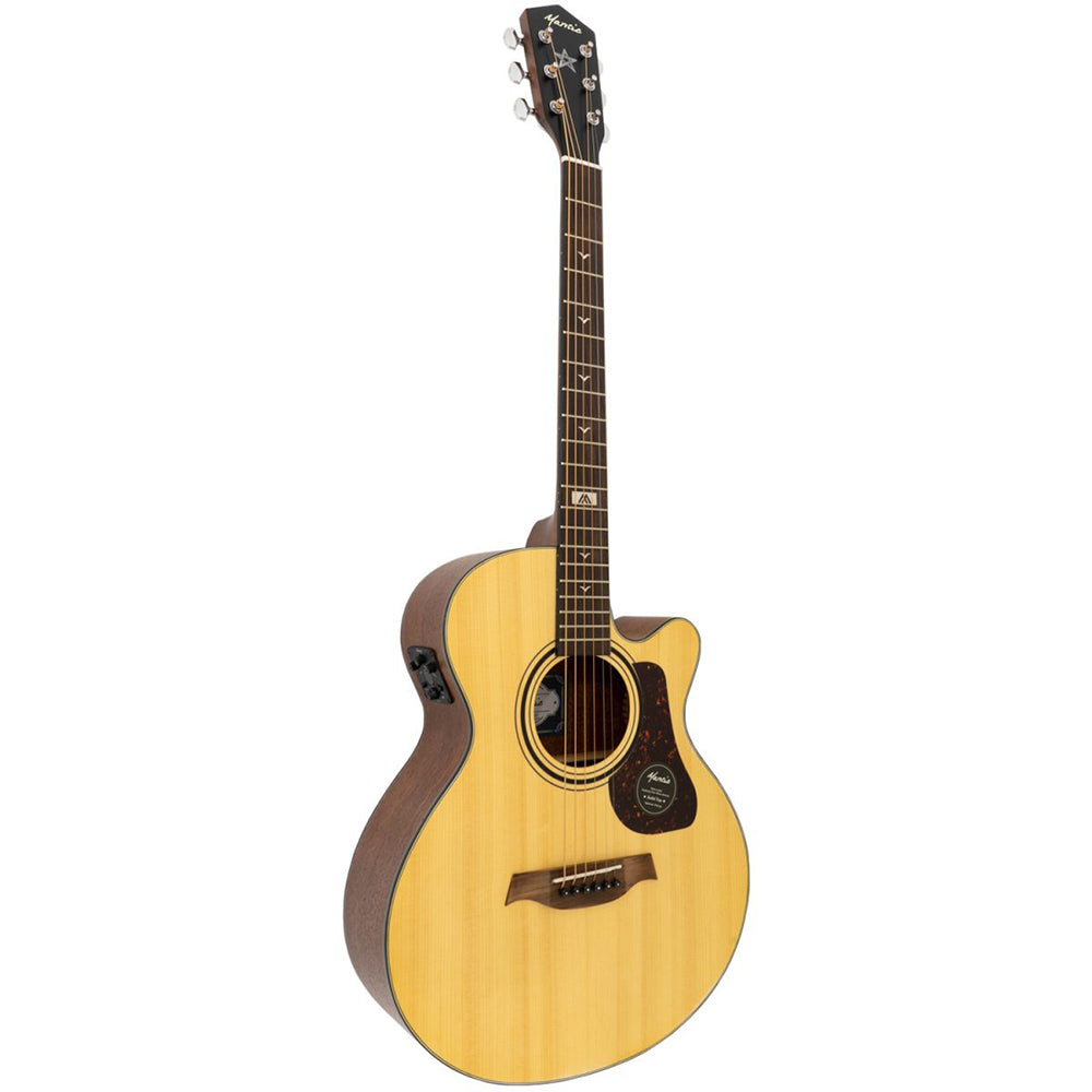 Đàn Guitar Acoustic Mantic GT10ACE