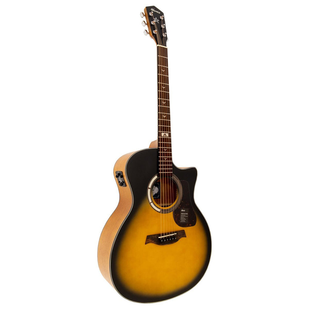 Đàn Guitar Acoustic Mantic GT1GCE