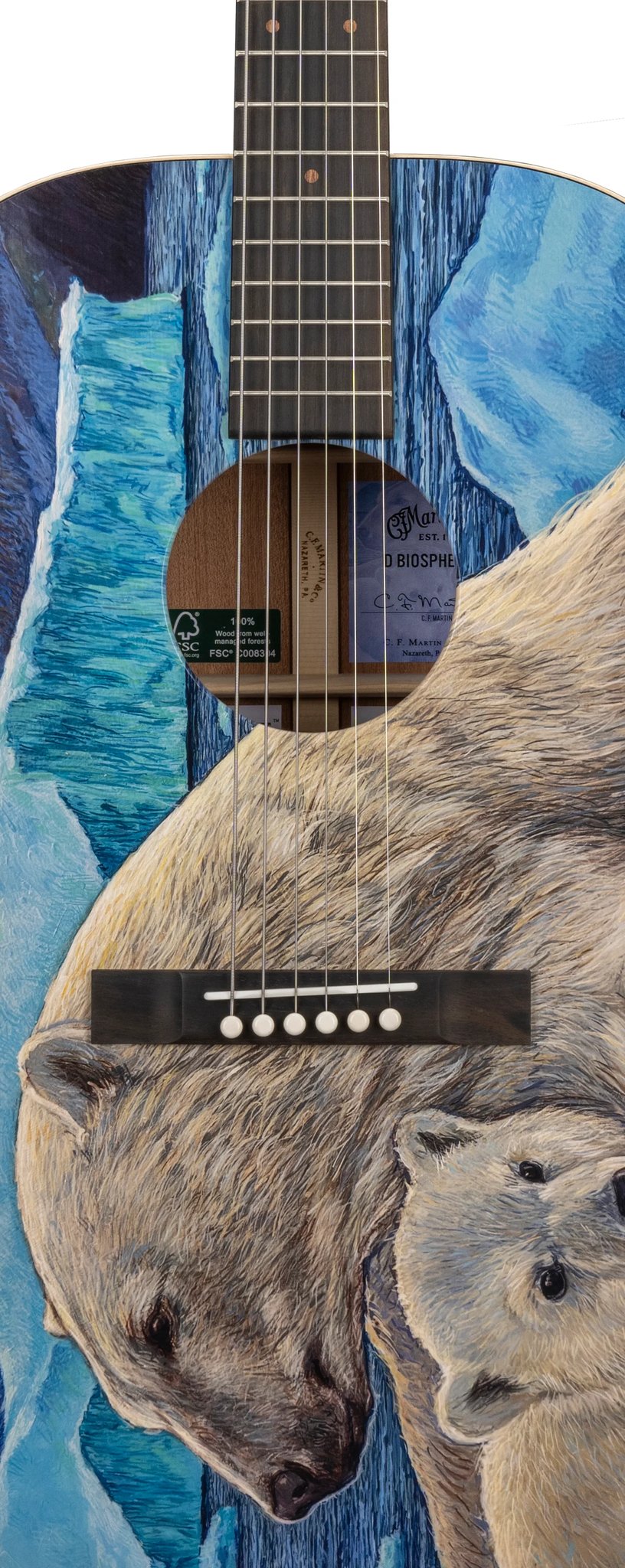 Đàn guitar acoustic Martin D Biosphere III màu Custom Ink – cận thùng đàn mặt trước