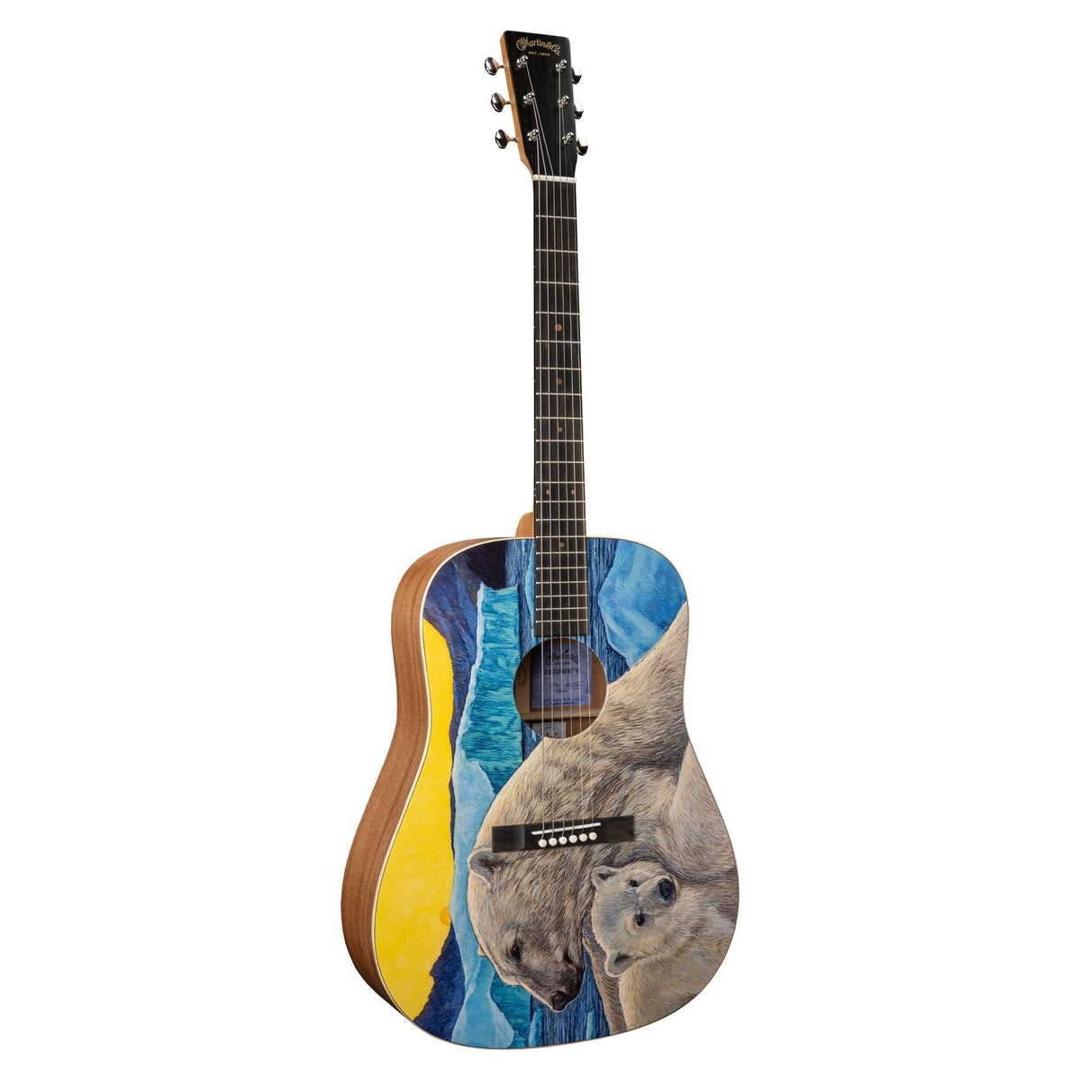 Đàn guitar acoustic Martin D Biosphere III màu Custom Ink – mặt trước toàn thân