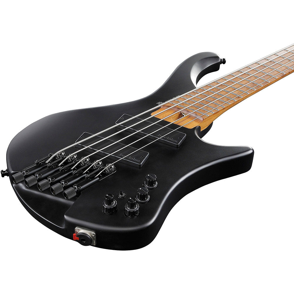 Đàn Guitar Bass Ibanez EHB1005MS