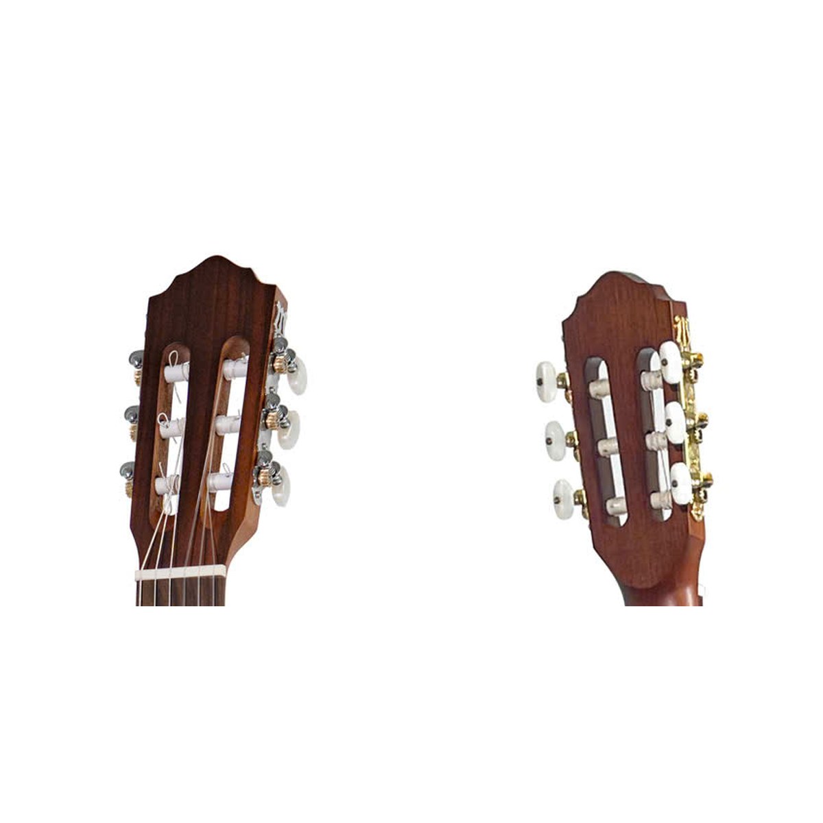 Đầu đàn guitar classic Saga C10M với bộ khóa kiểu classic, nhìn từ mặt trước và mặt sau
