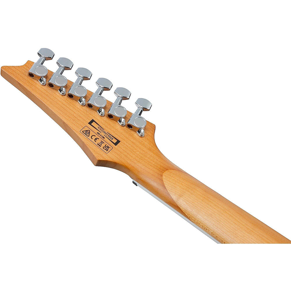 Đàn Guitar Điện Ibanez GRG220PA1