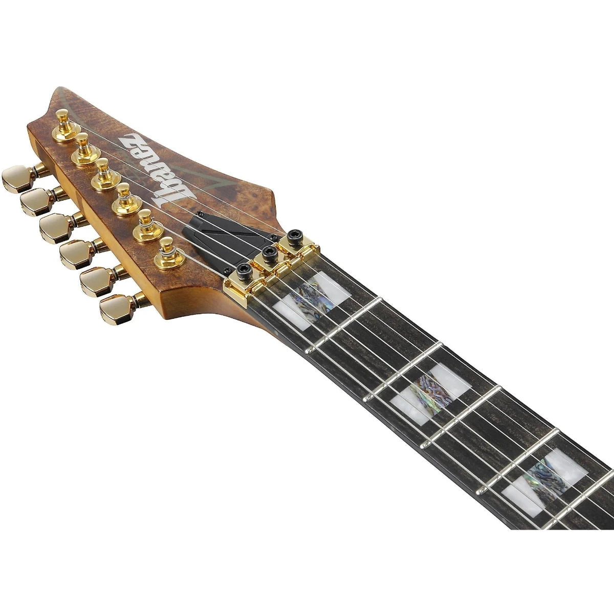 Guitar Điện Ibanez RGT1220PB, Ebony Fingerboard, Antique Brown Stained