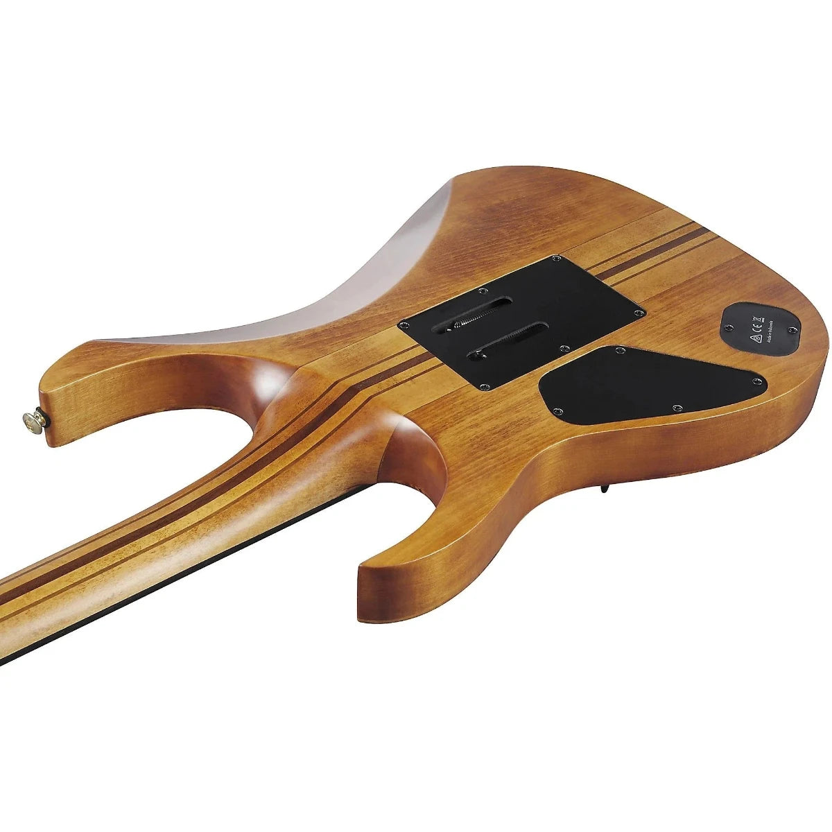 Guitar Điện Ibanez RGT1220PB, Ebony Fingerboard, Antique Brown Stained