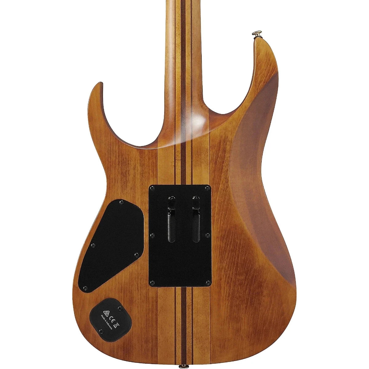 Guitar Điện Ibanez RGT1220PB, Ebony Fingerboard, Antique Brown Stained