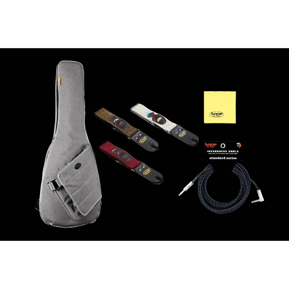 Đàn Guitar Điện Sqoe SEIB900