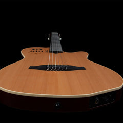 Đàn Guitar Silent Classic Godin ACS Slim Natural SG