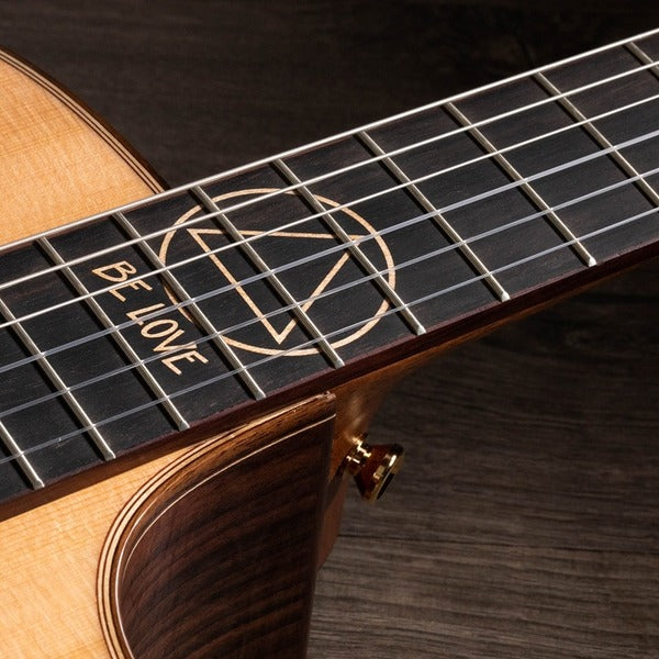 Taylor Jason Mraz Signature Model (JMSM)