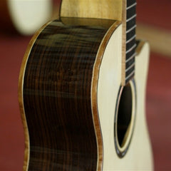 Guitar Acoustic Trần TCA60