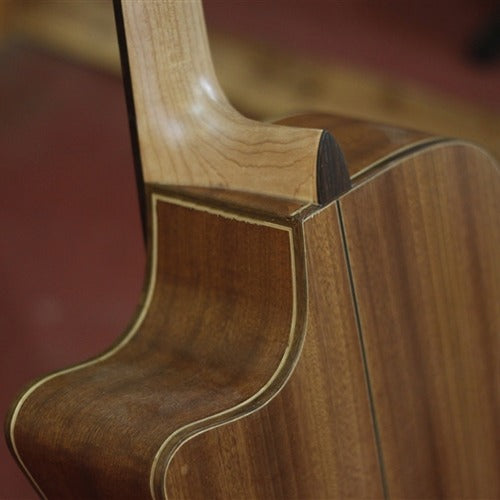 Guitar Acoustic Trần TM2