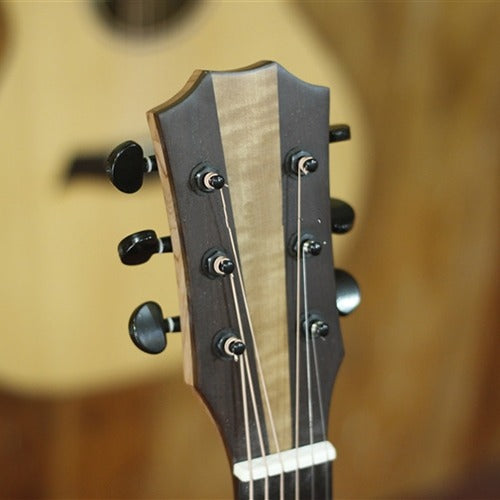 Guitar Acoustic Trần TM2