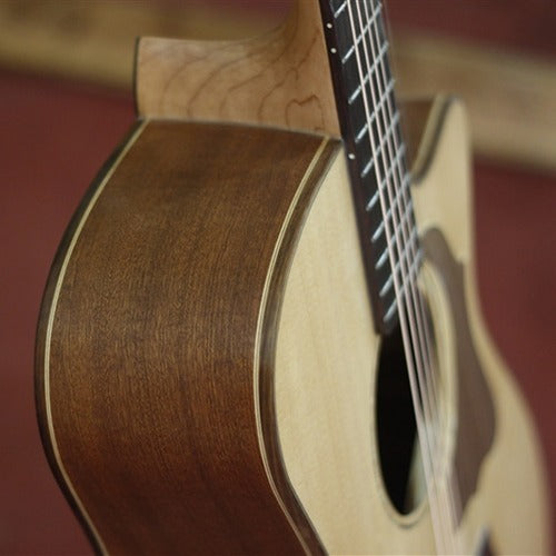 Guitar Acoustic Trần TM2
