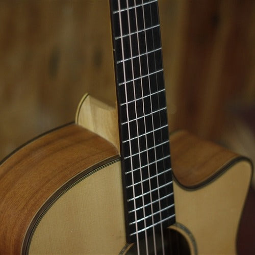 Guitar Acoustic Trần TM29