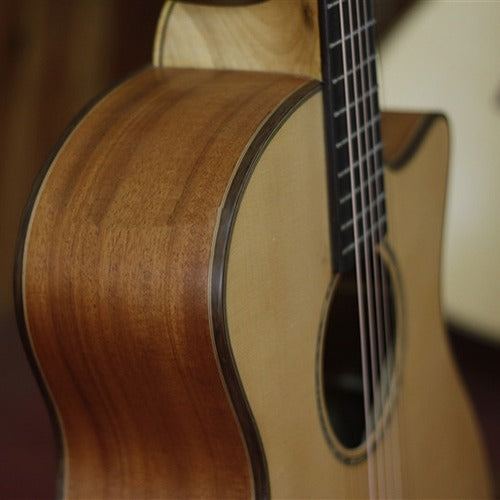 Guitar Acoustic Trần TM29