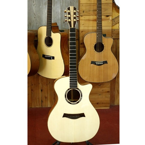 Guitar Acoustic Trần TV60