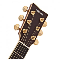 Đàn Guitar Yamaha LS-TA TransAcoustic