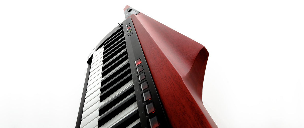 Đàn Keytar Korg RK-100S 2 - cận cảnh chi tiết