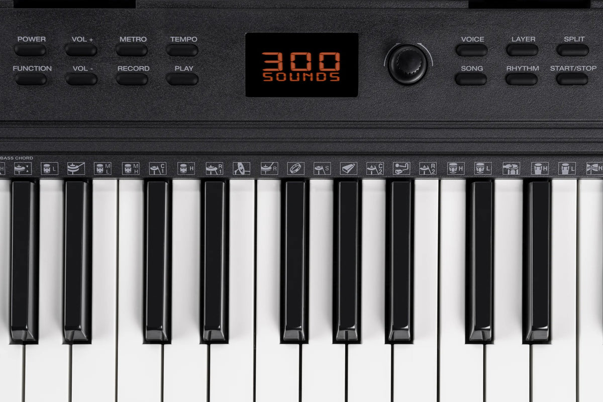 Đàn Organ Alesis Melody 61 MK4 - cận cảnh chi tiết