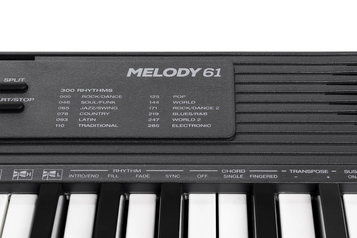 Đàn Organ Alesis Melody 61 MK4 - cận cảnh chi tiết