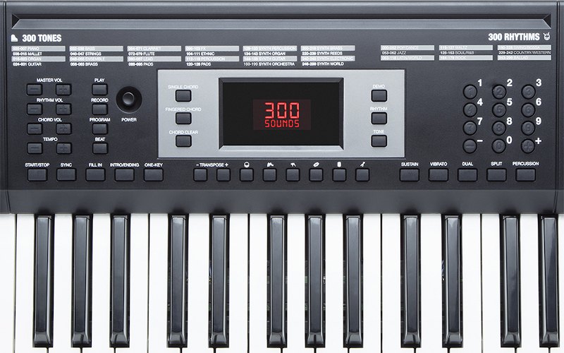 Đàn Organ Alesis Talent 61 - cận cảnh chi tiết