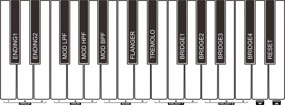 Đàn Organ Nux NEK100 Black - cận cảnh chi tiết (Đen)
